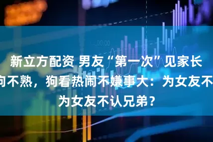 新立方配资 男友“第一次”见家长假装跟狗不熟，狗看热闹不嫌事大：为女友不认兄弟？